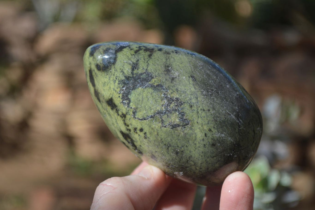 Polished Leopard Stone Free Forms  x 6 From Zimbabwe - Toprock Gemstones and Minerals 