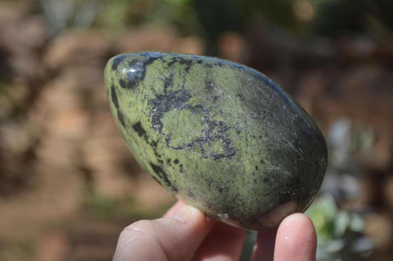 Polished Leopard Stone Free Forms  x 6 From Zimbabwe - Toprock Gemstones and Minerals 