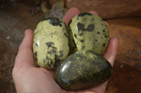 Polished  Spotted Leopard Stone Gallets  x 6 From Zimbabwe - Toprock Gemstones and Minerals 