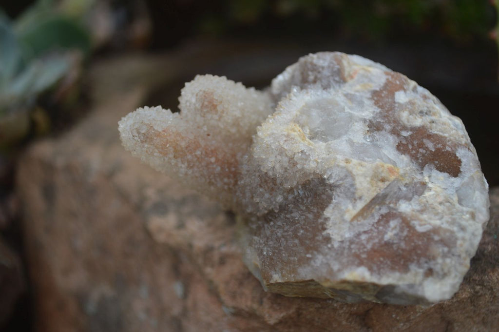 Natural Mixed Spirit Quartz Clusters  x 24 From Boekenhouthoek, South Africa - TopRock