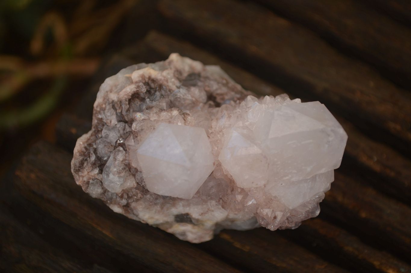 Natural Pale Lilac Spirit Quartz Clusters x 12 From Boekenhouthoek, South Africa - Toprock Gemstones and Minerals 