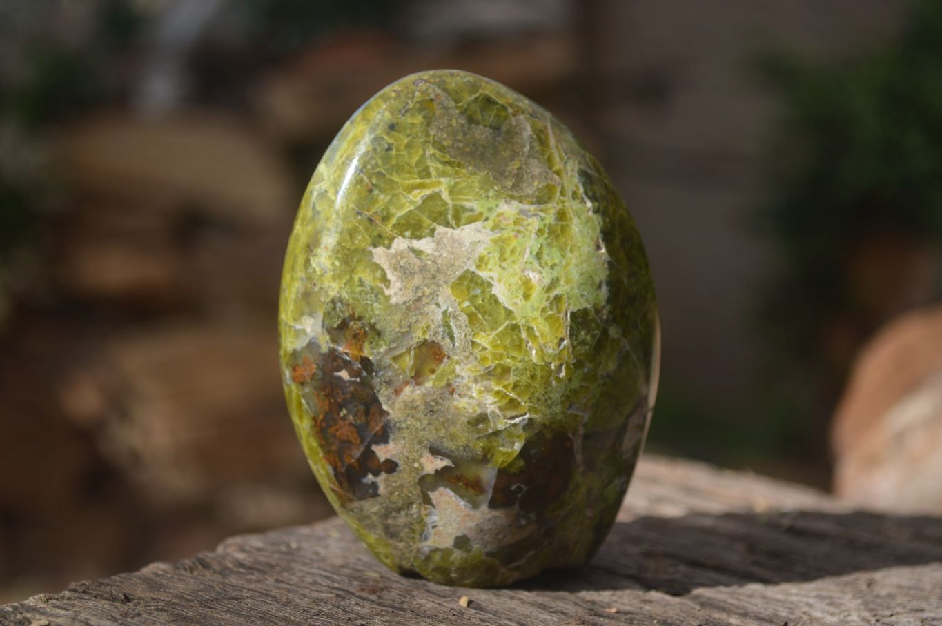 Polished Green Opal Standing Free Forms  x 6 From Madagascar - Toprock Gemstones and Minerals 