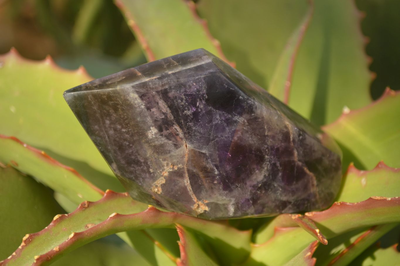 Polished  Dark Amethyst Standing Free Forms x 3 From Zambia - Toprock Gemstones and Minerals 