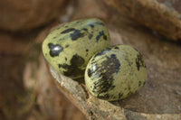 Polished  Spotted Leopard Stone Gallets  x 6 From Zimbabwe - Toprock Gemstones and Minerals 