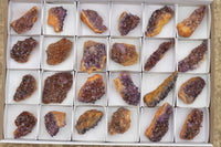 Natural Small Dark "Amethystos" Amethyst Clusters x 24 From Kwaggafontein, South Africa - TopRock