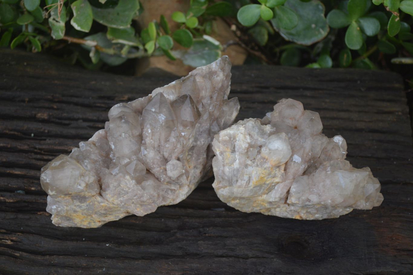 Natural Cascading Smokey Quartz Clusters x 2 From Congo - Toprock Gemstones and Minerals 