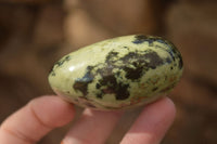 Polished  Spotted Leopard Stone Gallets  x 6 From Zimbabwe - Toprock Gemstones and Minerals 