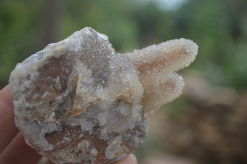 Natural Mixed Spirit Quartz Clusters  x 24 From Boekenhouthoek, South Africa - TopRock