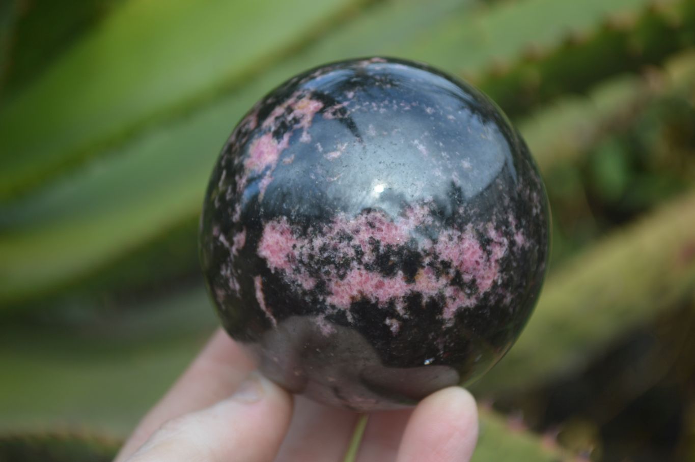 Polished Rhodonite Spheres x 2 From Ambindavato, Madagascar - Toprock Gemstones and Minerals 