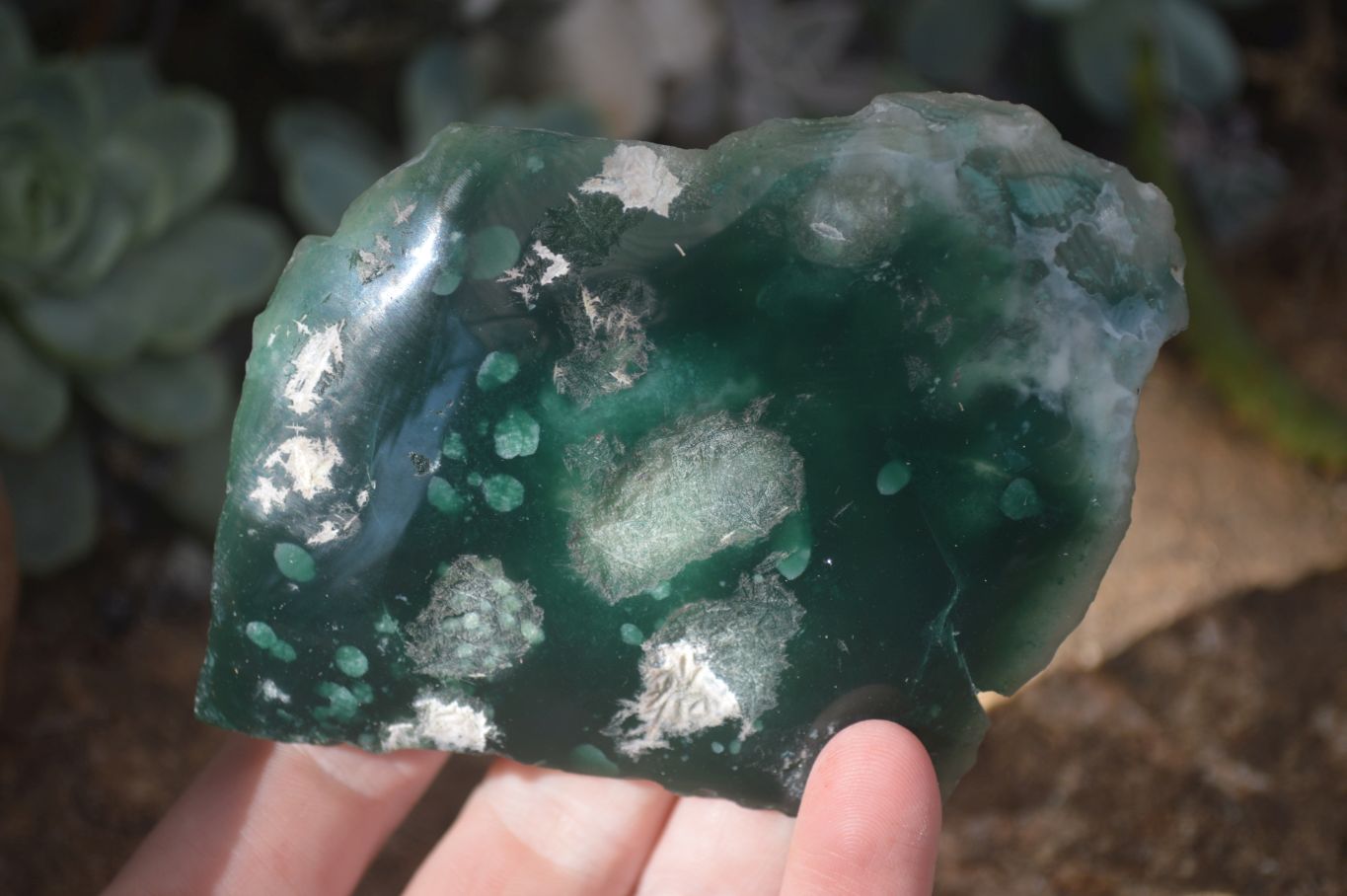 Polished One Side Polished Emerald Mtorolite Plates  x 6 From Mutorashanga, Zimbabwe - Toprock Gemstones and Minerals 