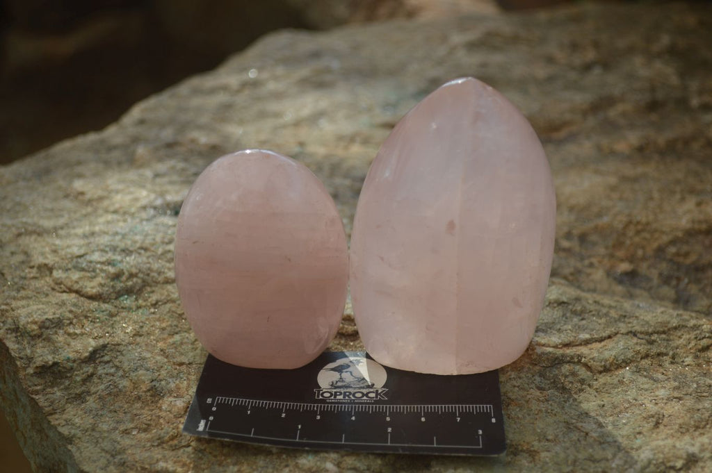 Polished Gemmy Rose Quartz Standing Free Forms x 6 From Ambatondrazaka, Madagascar - Toprock Gemstones and Minerals 