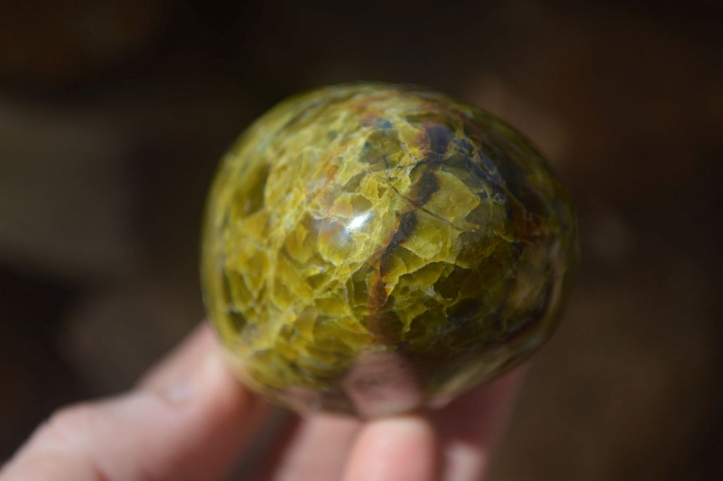 Polished Green Opal Standing Free Forms  x 6 From Madagascar - Toprock Gemstones and Minerals 