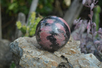 Polished Rhodonite Spheres x 2 From Ambindavato, Madagascar - Toprock Gemstones and Minerals 