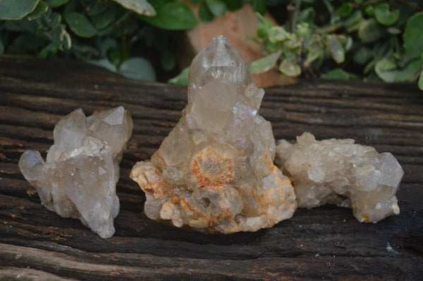 Natural Cascading Pale Citrine Clusters  x 3 From Luena, Congo - Toprock Gemstones and Minerals 