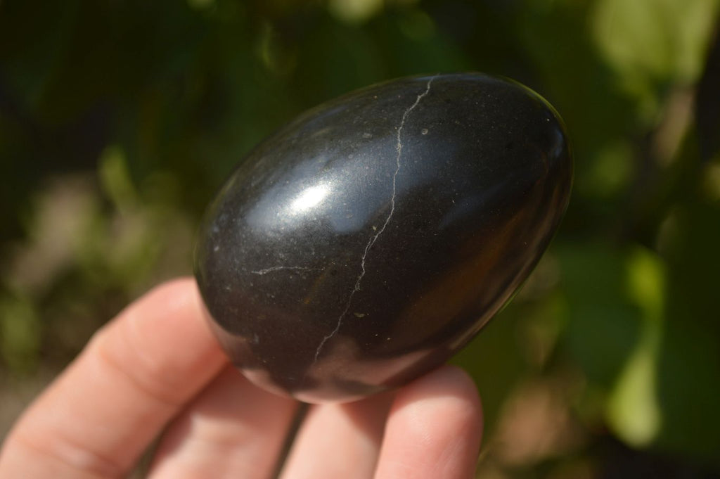 Polished  Black Basalt Gemstone Eggs x 6 From Antsirabe, Madagascar - Toprock Gemstones and Minerals 