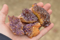 Natural Small Dark "Amethystos" Amethyst Clusters x 24 From Kwaggafontein, South Africa - TopRock