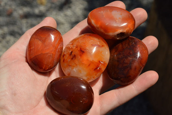 Polished Stunning Selection Of Carnelian Agate Palm Stones  x 20 From Madagascar - TopRock