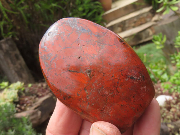 Polished Red Ocean Jasper Standing Free Forms x 6 From Madagascar - TopRock