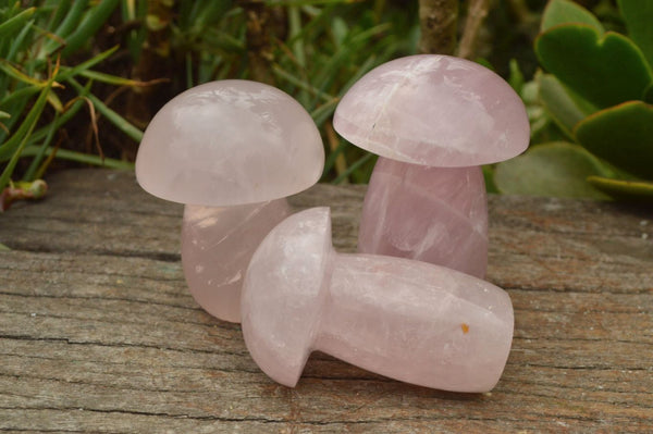 Polished Gemmy Pink Rose Quartz Mushrooms  x 5 From Madagascar - TopRock