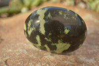 Polished  Spotted Leopard Stone Gallets  x 6 From Zimbabwe - Toprock Gemstones and Minerals 