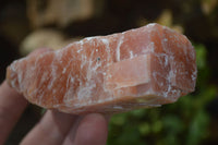 Natural New Sunset Orange Calcite Specimens  x 12 From Spitzkop, Namibia - Toprock Gemstones and Minerals 