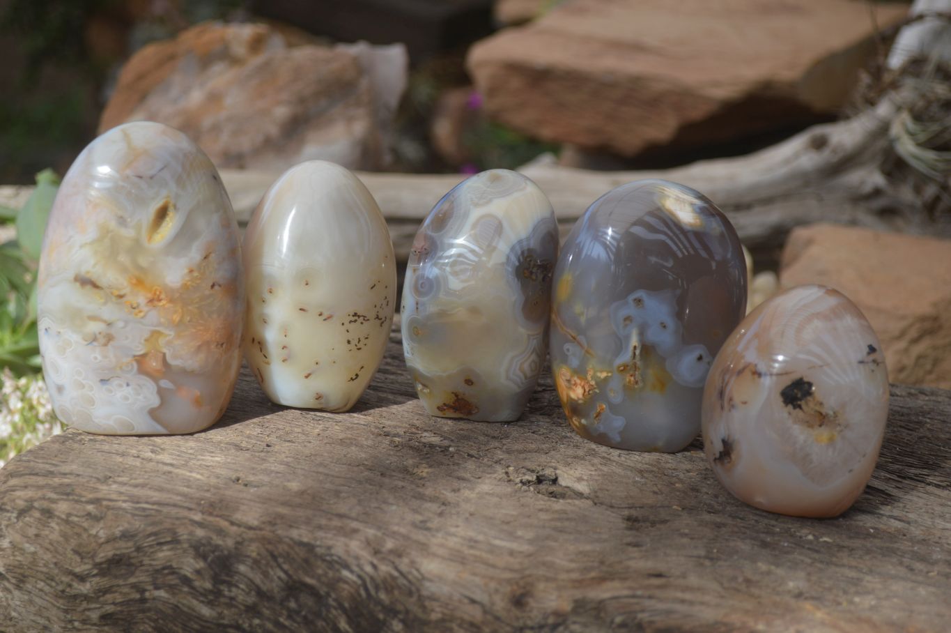 Polished Agate Standing Free Forms x 5 From Madagascar - Toprock Gemstones and Minerals 