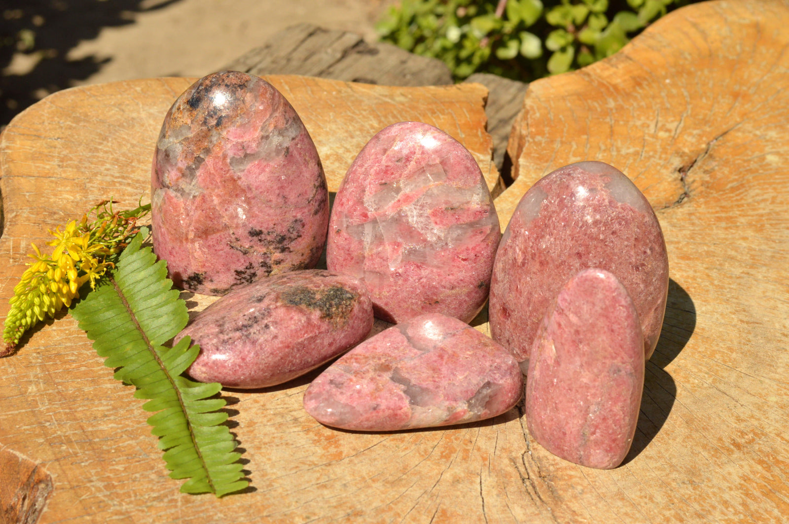 Polished Near Solid Pink Rhodonite Standing Free Forms x 6 From Ambindavato, Madagascar - TopRock