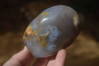 Polished Agate Standing Free Forms x 5 From Madagascar - Toprock Gemstones and Minerals 