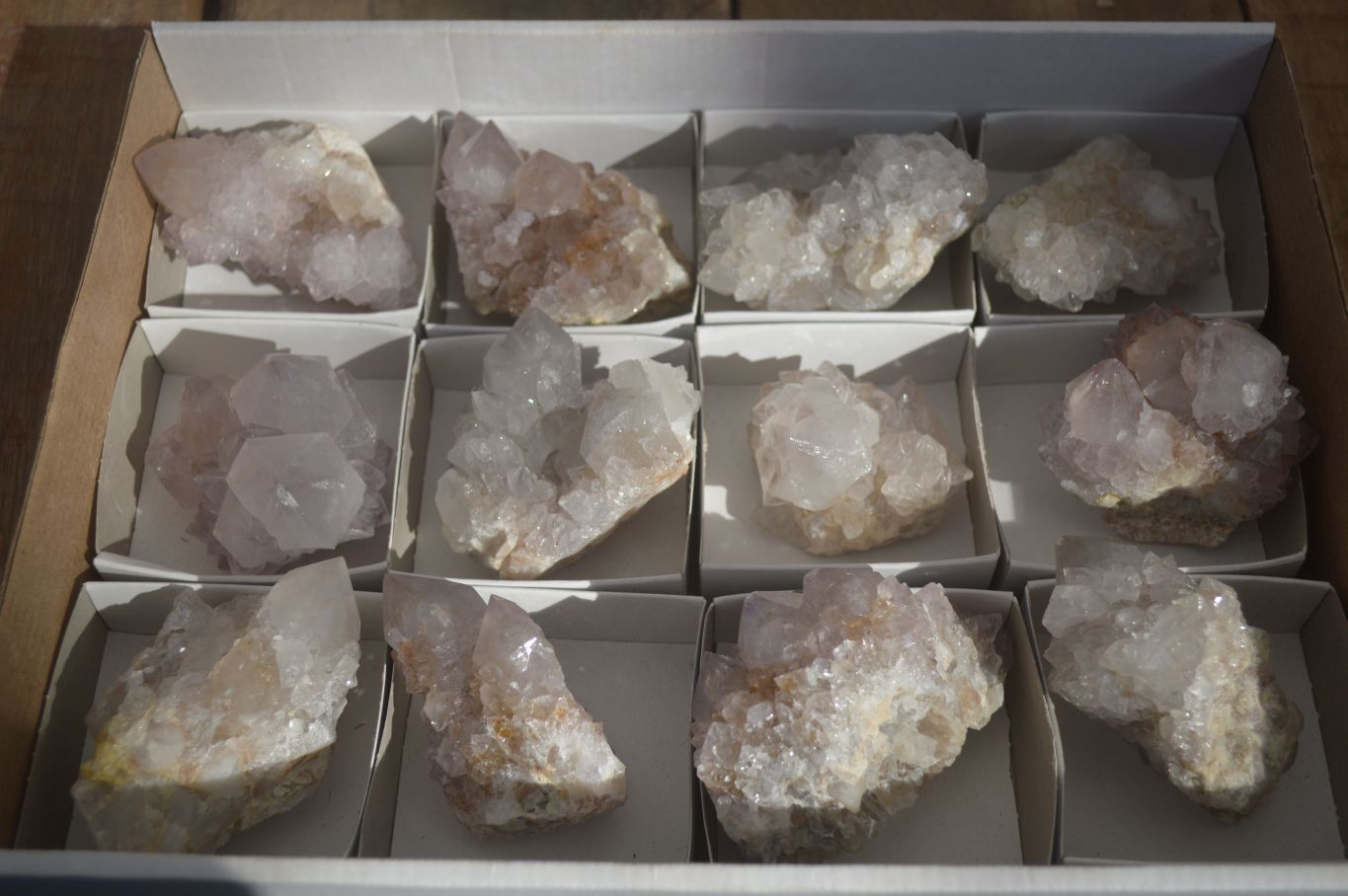 Natural Cactus Flower Spirit Quartz Specimens x 12 From Boekenhouthoek, South Africa - Toprock Gemstones and Minerals 