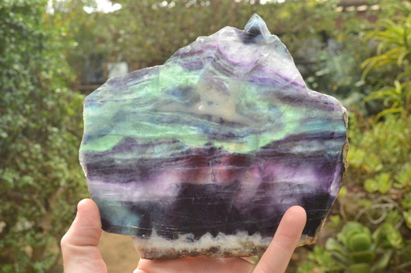 Polished Semi Translucent Watermelon Fluorite Slices x 2 From Uis, Namibia - TopRock