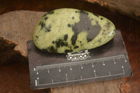 Polished  Spotted Leopard Stone Gallets  x 6 From Zimbabwe - Toprock Gemstones and Minerals 