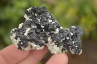 Natural Schorl Black Tourmaline Specimens x 12 From Erongo, Namibia - Toprock Gemstones and Minerals 
