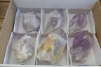 Natural Jacaranda Amethyst Crystals x 6 From Mumbwe, Zambia - Toprock Gemstones and Minerals 
