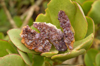 Natural Small Dark "Amethystos" Amethyst Clusters x 24 From Kwaggafontein, South Africa - TopRock