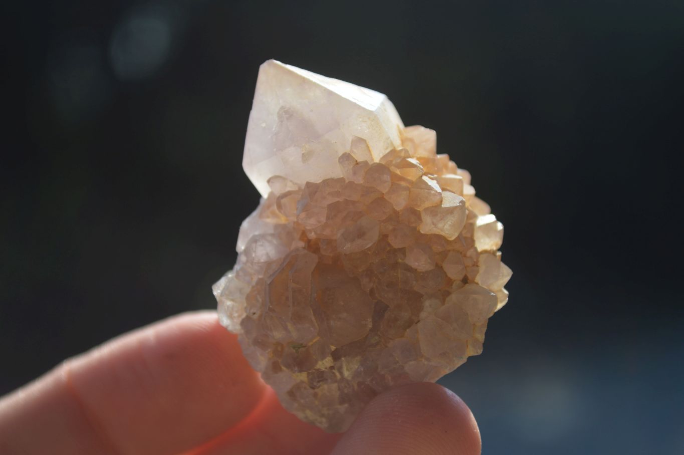 Natural Small Mixed Spirit Quartz Clusters  x 20 From Boekenhouthoek, South Africa - Toprock Gemstones and Minerals 