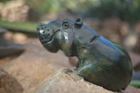 Polished Green Verdite Hippo Carvings x 3 From Zimbabwe - Toprock Gemstones and Minerals 