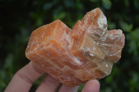 Natural New Sunset Orange Calcite Specimens  x 12 From Spitzkop, Namibia - Toprock Gemstones and Minerals 