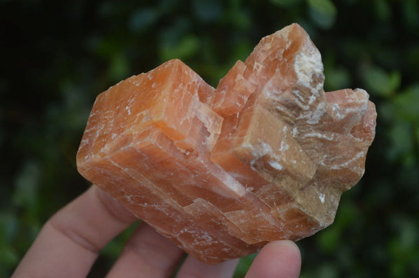 Natural New Sunset Orange Calcite Specimens  x 12 From Spitzkop, Namibia - Toprock Gemstones and Minerals 