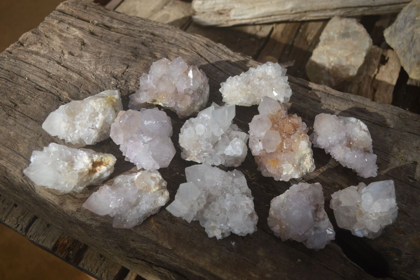 Natural Cactus Flower Spirit Quartz Specimens x 12 From Boekenhouthoek, South Africa - Toprock Gemstones and Minerals 