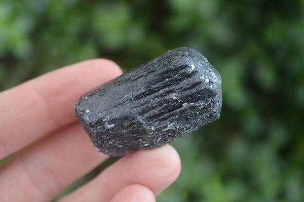Natural Alluvial Schorl Black Tourmaline Specimens  x 20 From Zimbabwe - Toprock Gemstones and Minerals 