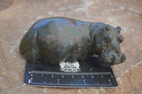 Polished Green Verdite Hippo Carvings x 3 From Zimbabwe - Toprock Gemstones and Minerals 