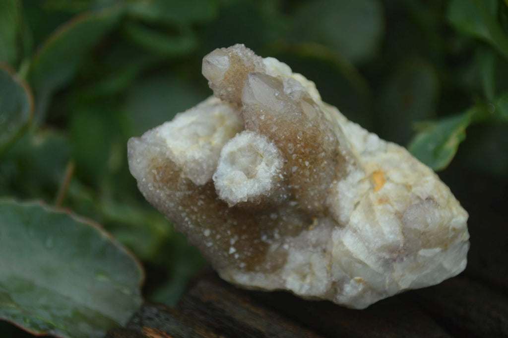 Natural Mixed Spirit Quartz Clusters  x 24 From Boekenhouthoek, South Africa - TopRock