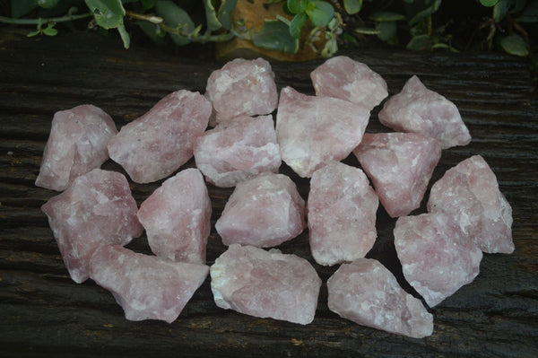 Natural Rough Pink Rose Quartz Specimens  x 24 From Namibia - Toprock Gemstones and Minerals 