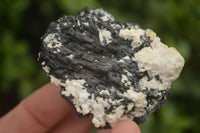 Natural Schorl Black Tourmaline Specimens x 12 From Erongo, Namibia - Toprock Gemstones and Minerals 