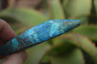 Polished Blue Shattuckite Free Forms  x 3 From Namibia - Toprock Gemstones and Minerals 
