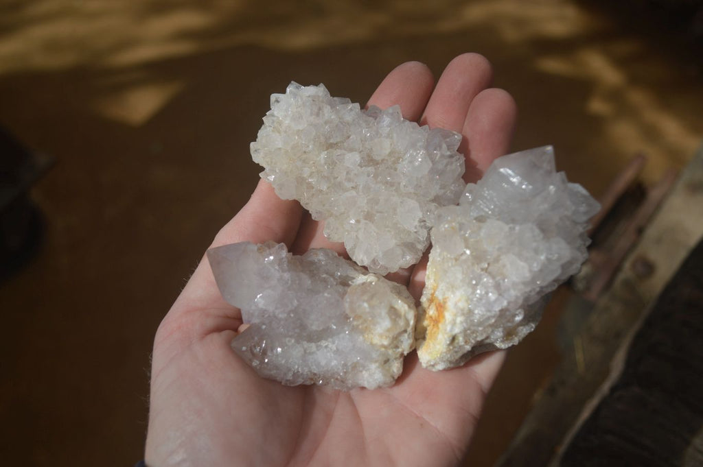 Natural Cactus Flower Spirit Quartz Specimens x 12 From Boekenhouthoek, South Africa - Toprock Gemstones and Minerals 
