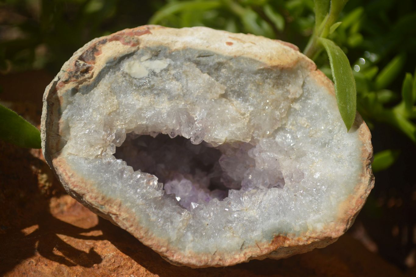Natural Amethyst & Crystal Centred Geodes  x 12 From Zululand, South Africa - TopRock