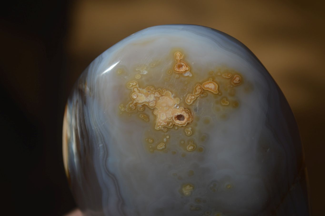 Polished Agate Standing Free Forms x 5 From Madagascar - Toprock Gemstones and Minerals 