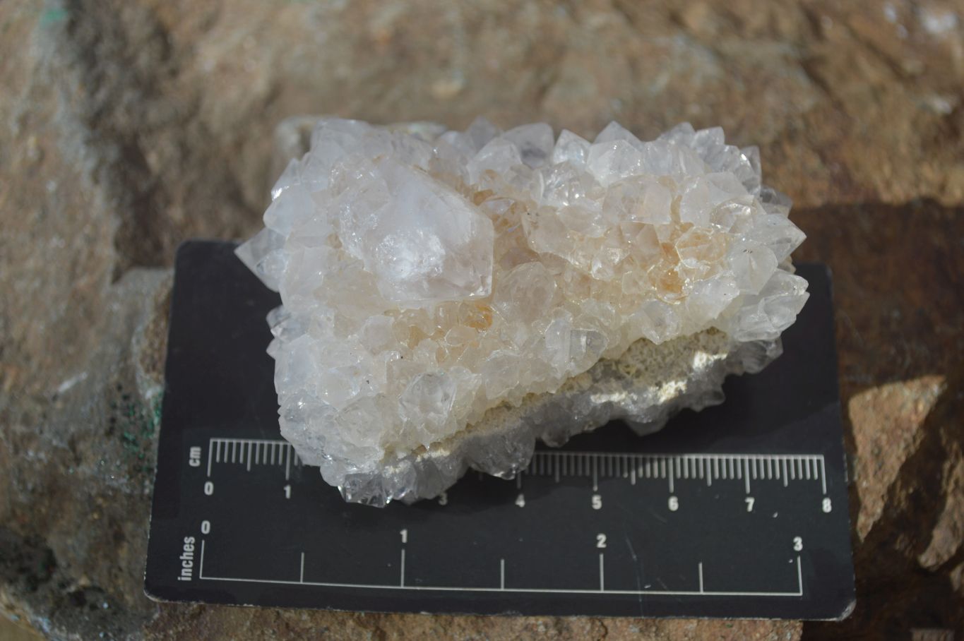 Natural Cactus Flower Spirit Quartz Specimens x 12 From Boekenhouthoek, South Africa - Toprock Gemstones and Minerals 