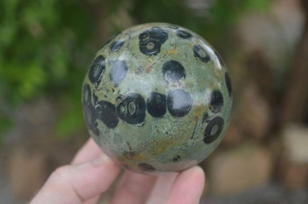 Polished Stromatolite / Kambamba Jasper Spheres  x 3 From Madagascar